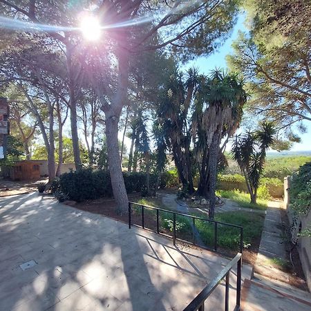 Chalet Rustico Con Piscina Y Barbacoa, Valencia トレント エクステリア 写真