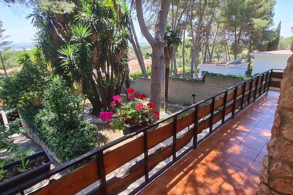 Chalet Rustico Con Piscina Y Barbacoa, Valencia トレント エクステリア 写真